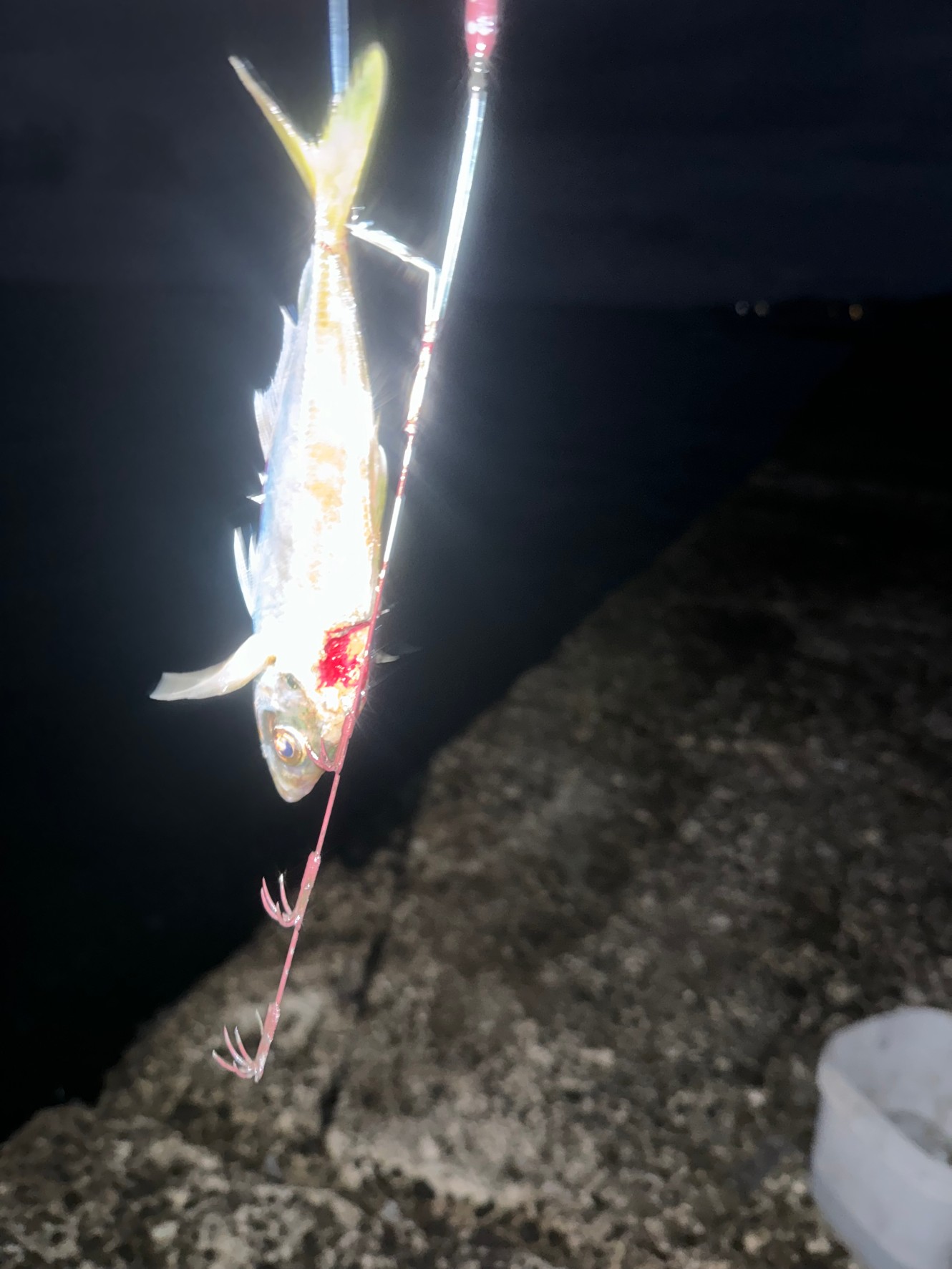 ヤエン釣りのコツは、アオリイカがアジの頭を落とすまで待つこと。姿が見えるまで引き寄せる事。釣太郎