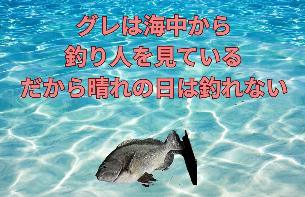 グレ（メジナ）は警戒心が強い魚で、海中から釣り人を見ているという。だから晴れの日は釣れない、が定説だが、これは真実か。釣太郎