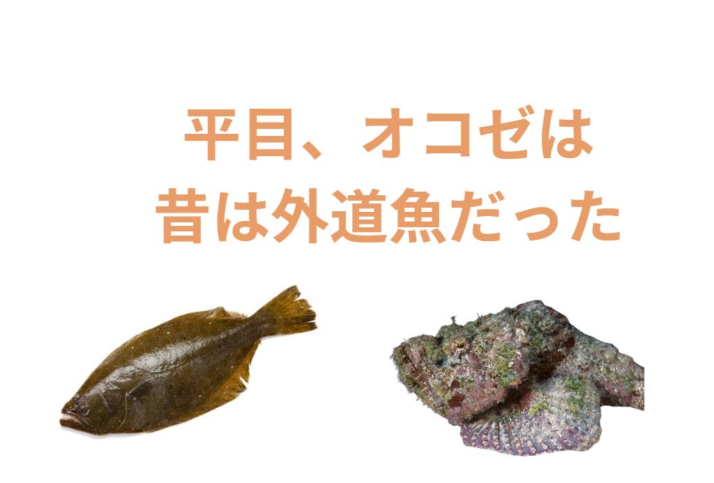 平目は昔、外道魚扱いされていた。オコゼも同様。なぜ高級魚となったのか？釣太郎
