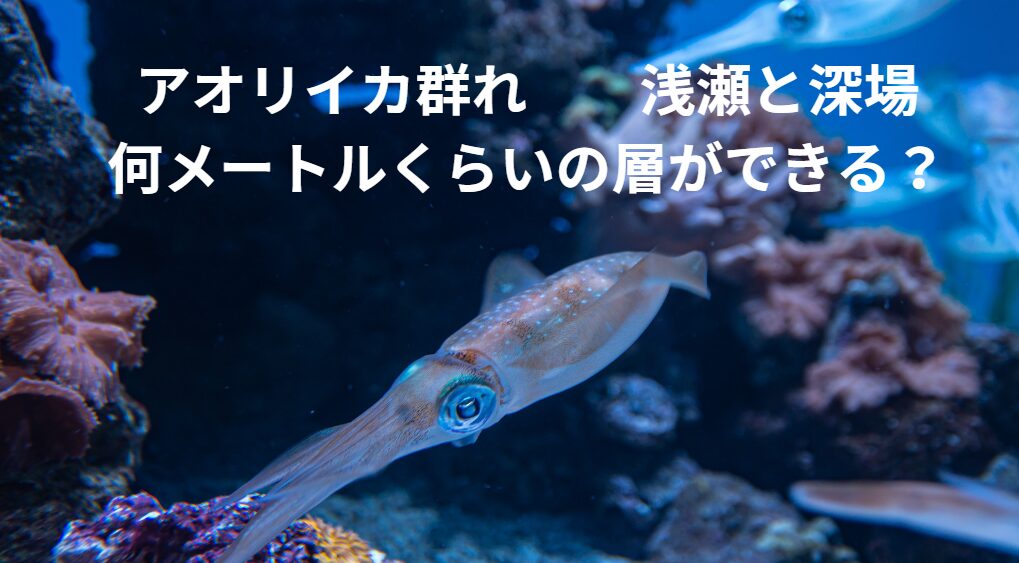 アオリイカの群れ、浅瀬と深場を泳ぐものがあるが、その場合、何メートルくらいの層ができる？釣太郎