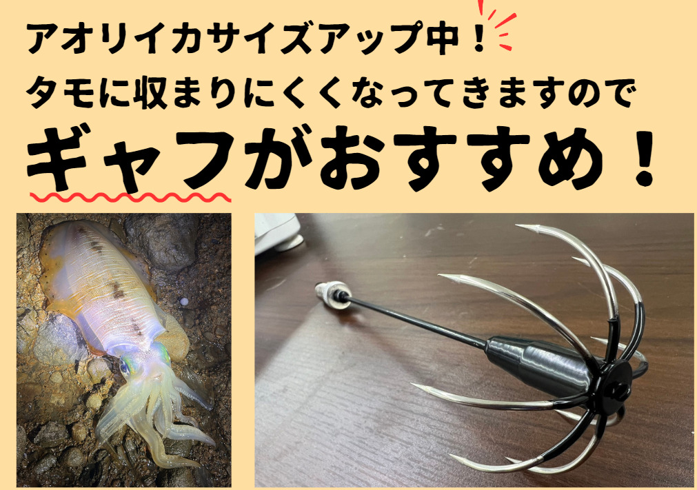イカギャフが必要な季節になりました。釣太郎