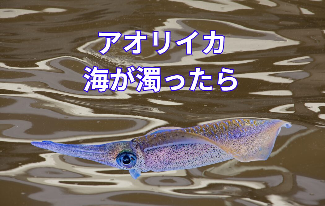 大雨が降り、海が濁るとアオリイカはどうする？釣太郎