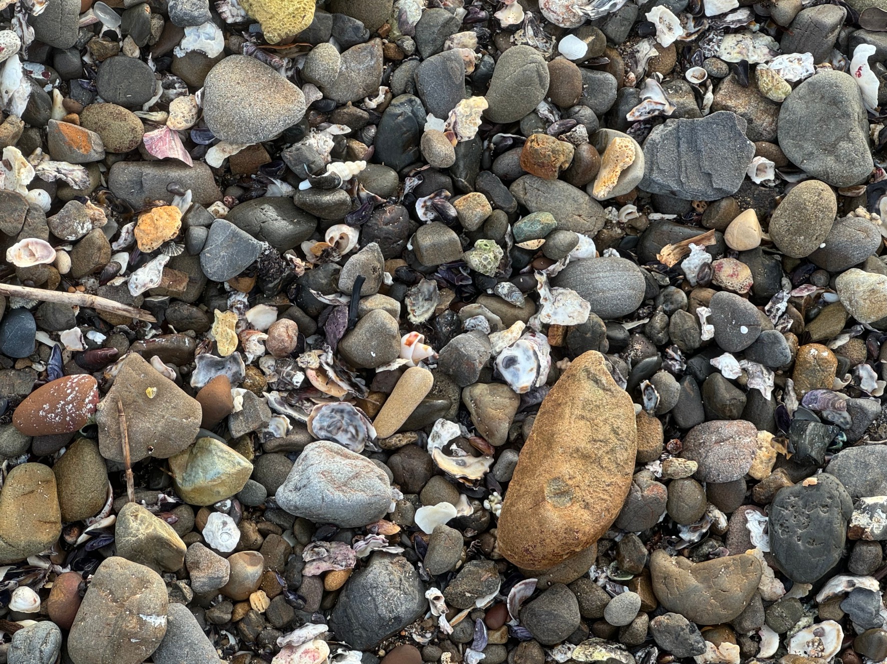 ビーチの砂は何で出来ている？釣太郎