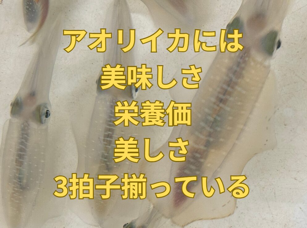 アオリイカは美味しい、しかも栄養価も高い。泳いでいる姿は海の宝石と言われる。この3拍子がそろった海水生物は珍しい。釣太郎