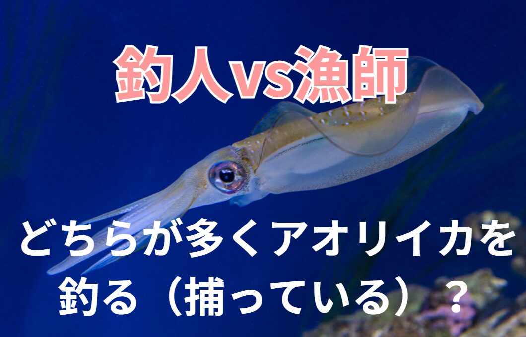 漁師と釣り人、たくさんアオリイカを捕っている(釣る)のはどっち?釣太郎