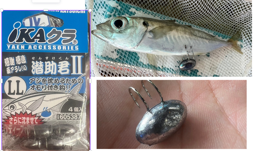 活アジを沈ませたら、アオリイカが食いついた、ということも多いので、ヤエン、ウキ釣り時は腹オモリをお忘れなく。タナ合わせは釣果直結します。釣太郎