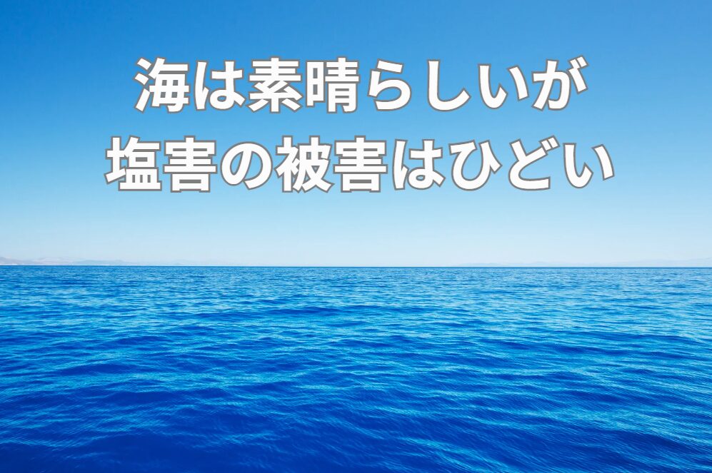 海の近くで生活する人は、塩害で頭を抱えている。車電気製品の寿命は内陸部と比べると極端に短い。釣太郎