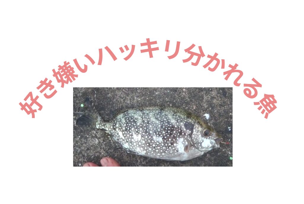 好き嫌いがはっきりと分かれる魚紹介。釣太郎