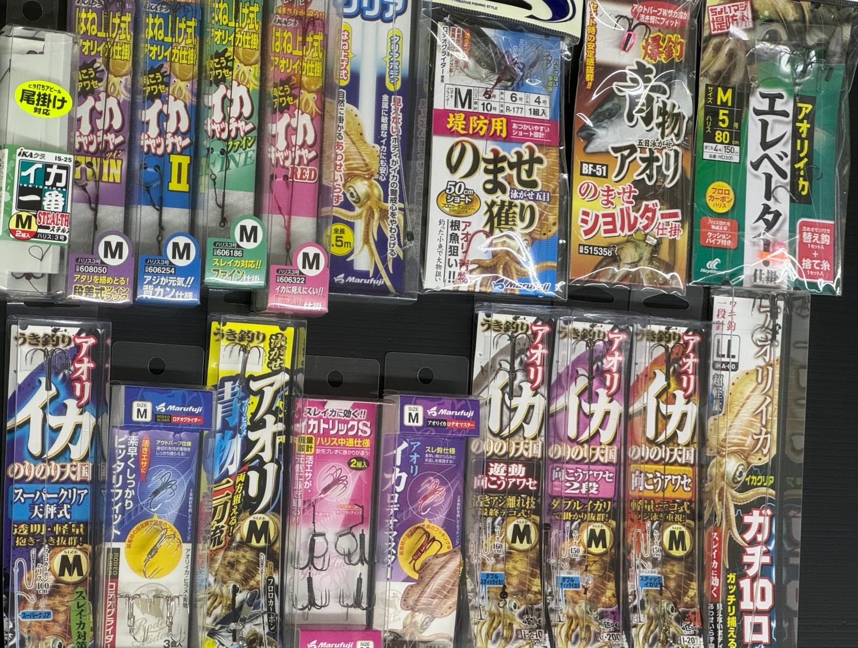 はじめての人でもウキ釣りなら、アオリイカが釣れます。アジを泳がせるだけ。日中は避け、棚を合わせるのがコツ。釣太郎