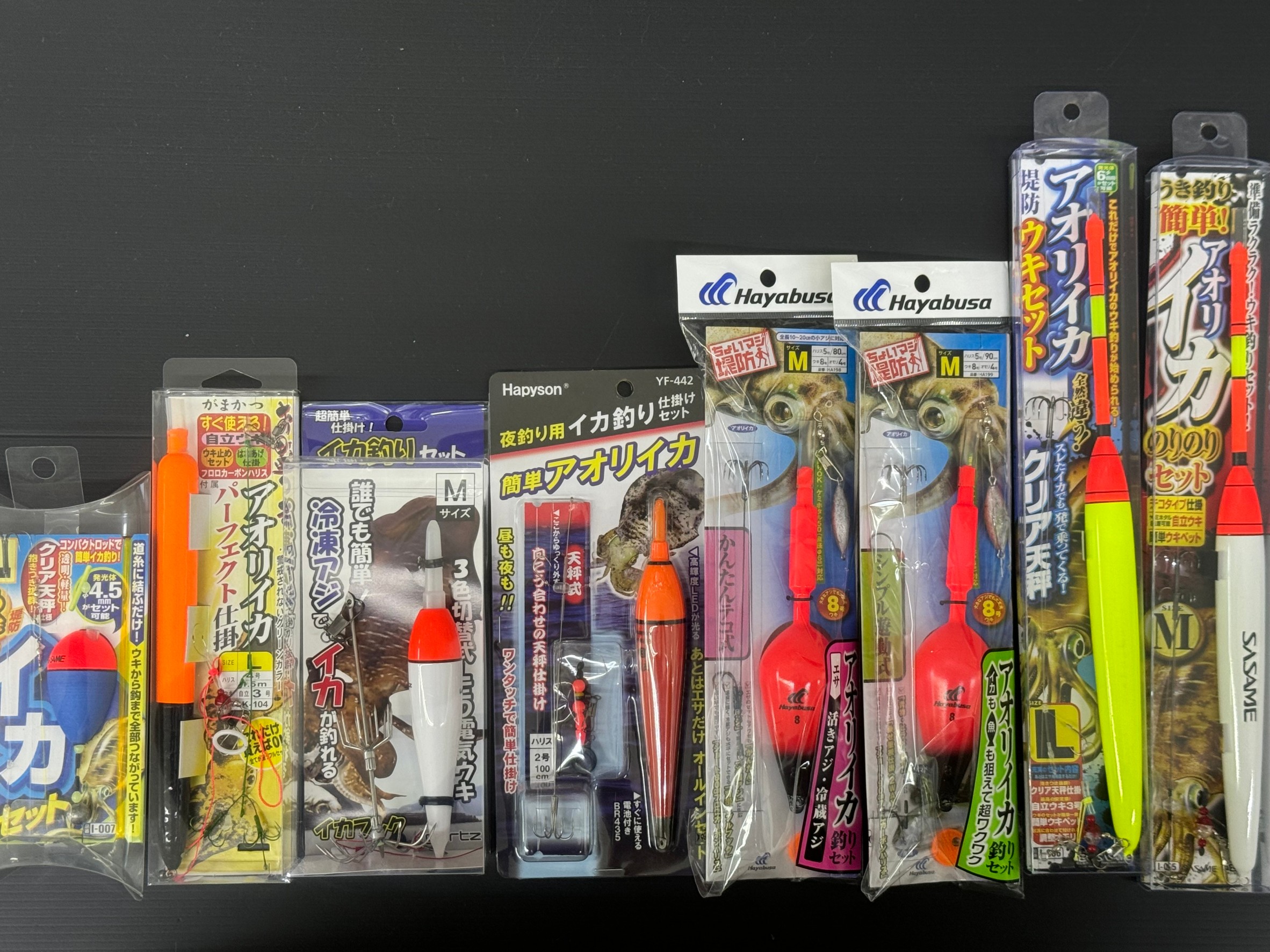 アオリイカ釣り入門！初心者でも簡単！ウキ泳がせで手軽に大物を狙おう！釣太郎