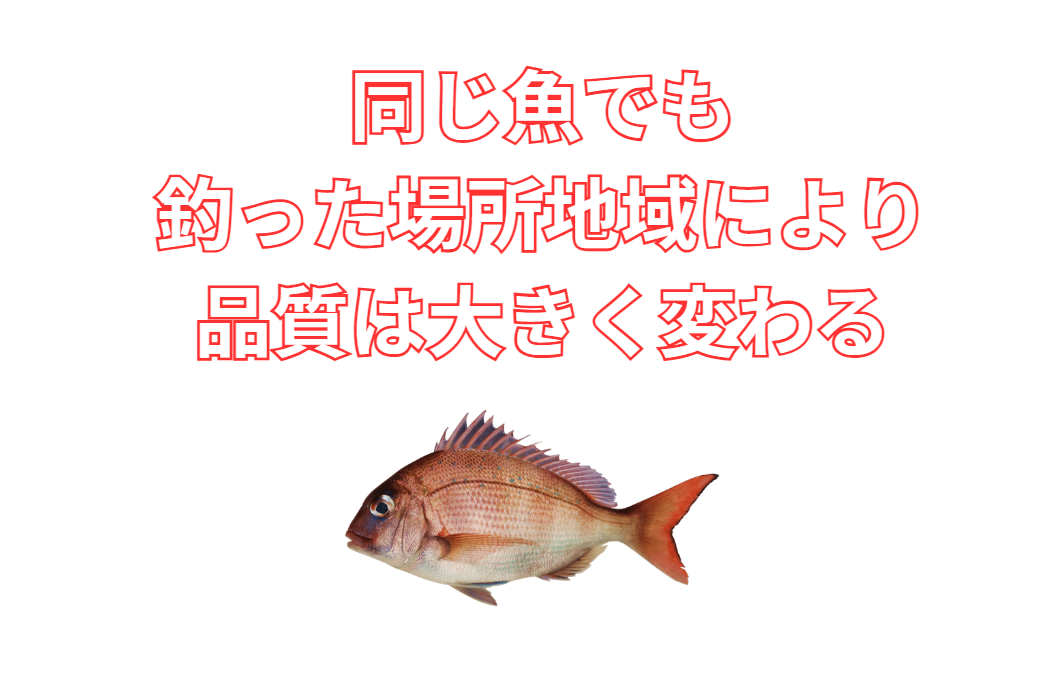 同じ魚種でも、釣る場所や地域により、身の質感や旨味が全く変わることもある。この理由説明。釣太郎
