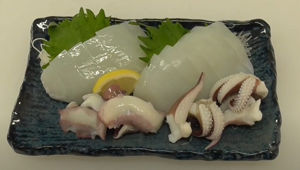 アオリイカの栄養価について、イカ釣り師向けに解説。釣太郎