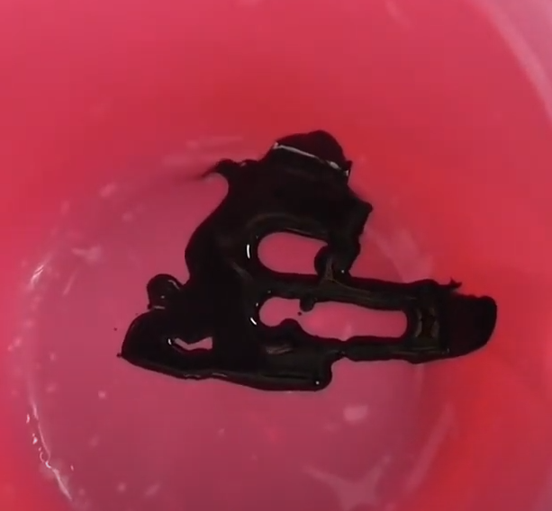 モンゴウイカの墨は色が濃く、風味も強いのが特徴で、アオリイカの墨は色が薄めで風味があっさりしている。釣太郎