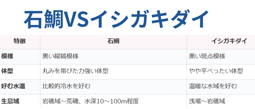 石鯛とイシガキダイの生態の違い説明。底物魚釣り入門。釣太郎