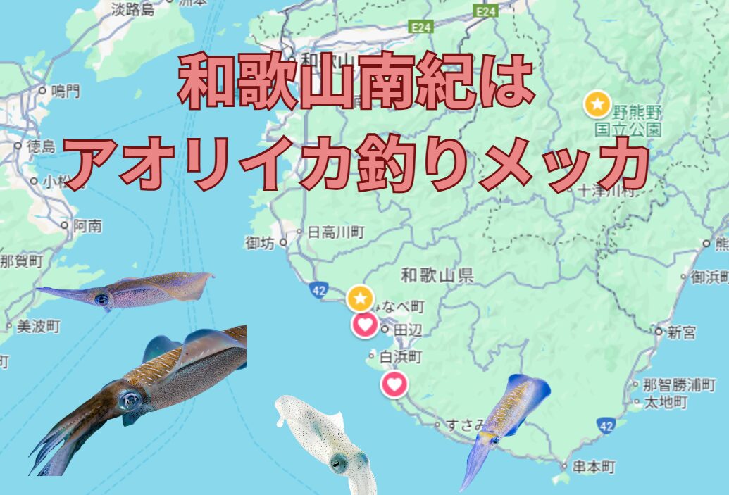 和歌山南紀地方はアオリイカ釣りのメッカ。釣太郎
