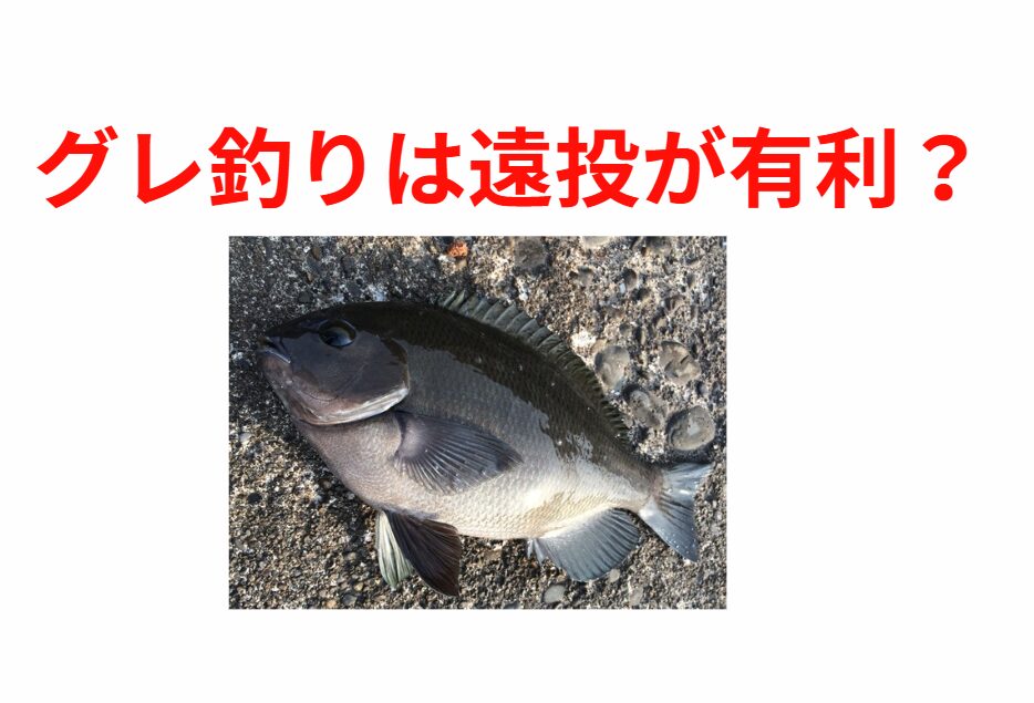グレ（メジナ）釣りは遠投が有利か？フカセ釣り入門。釣太郎
