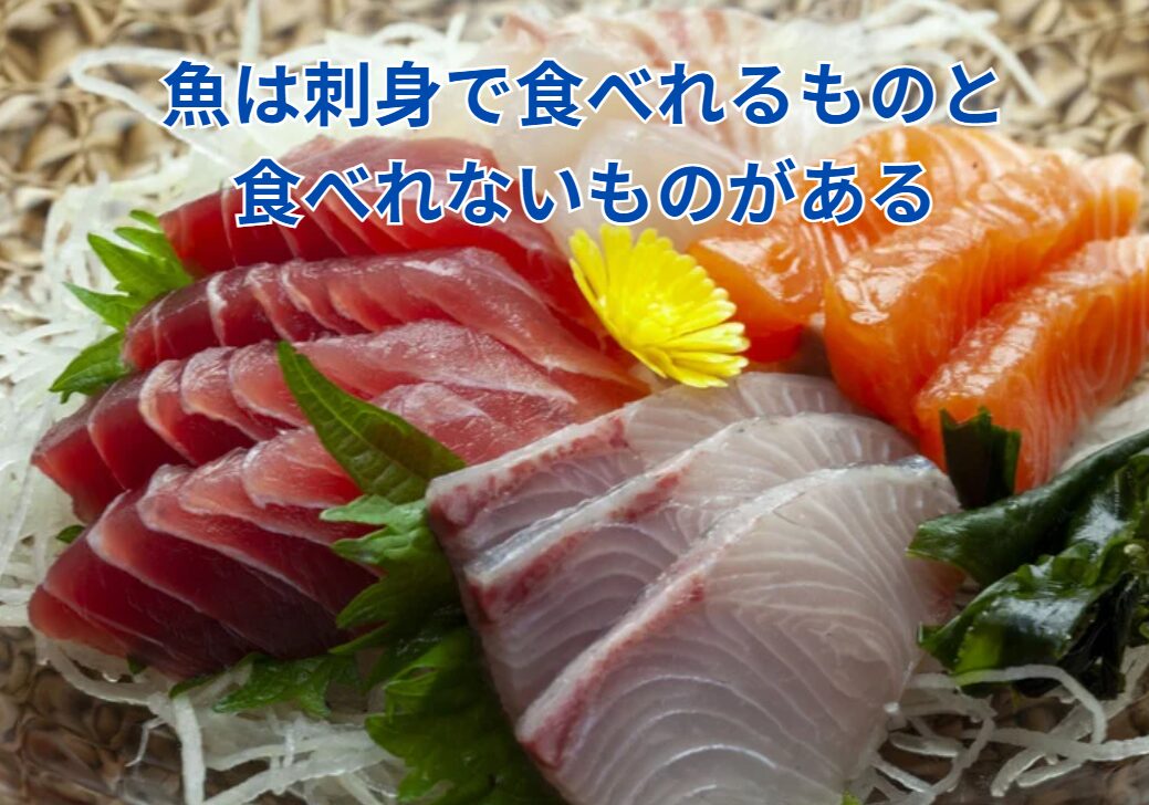 刺身で食べれる魚と食べれない魚、何が違う？釣太郎