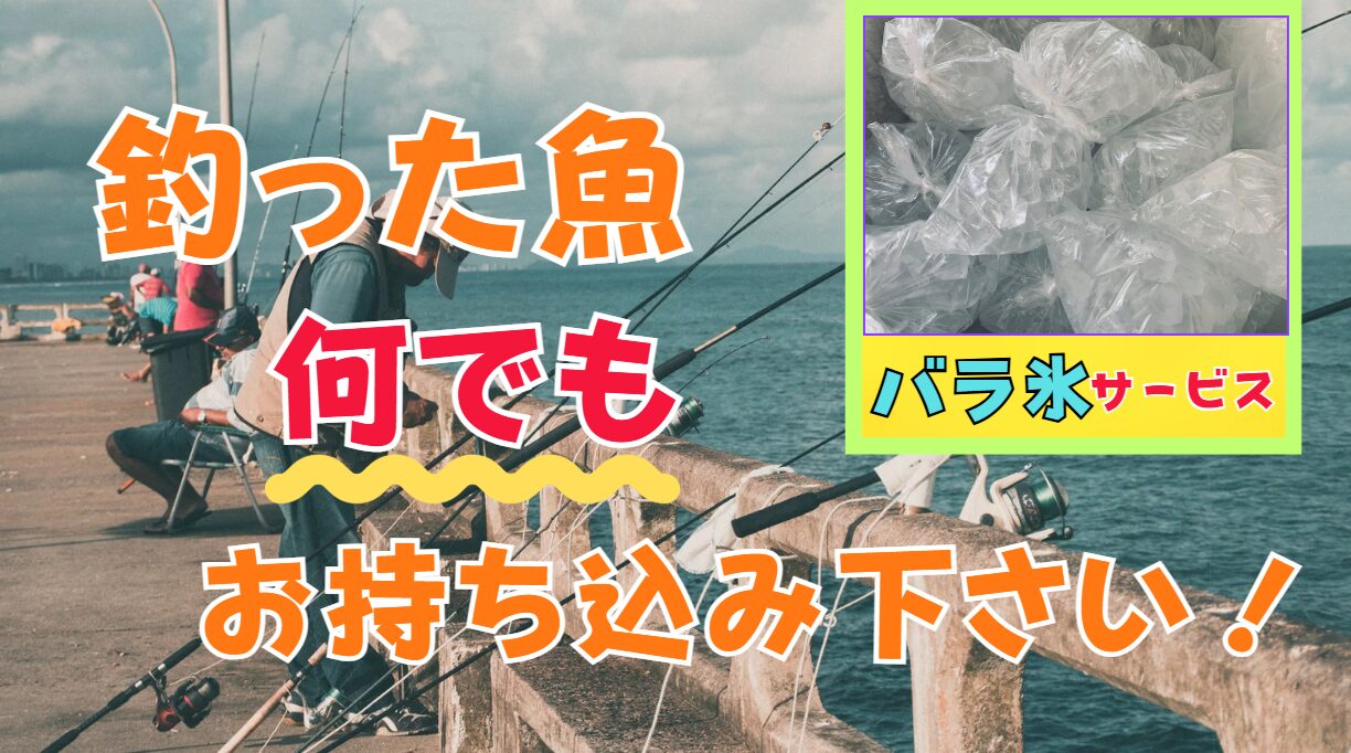釣った魚、気軽にお持ち込みください。釣太郎ブログに掲載致します。バラ氷サービス。