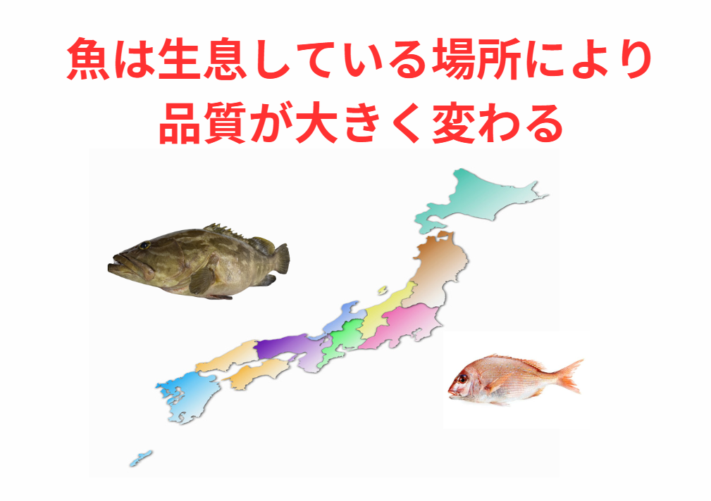 同じ魚種でも日本海側、瀬戸内、太平洋側では、全く身の品質が変わる事も多い理由。釣太郎