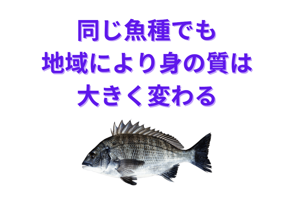 同じ種の魚でも釣った地域で、品質が大きく異なることがある。この理由説明。釣太郎
