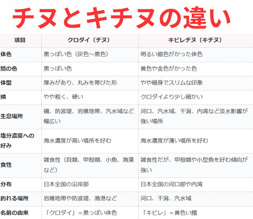 チヌ（クロダイ）とキビレチヌ（キチヌ）の違いを一覧表。釣太郎