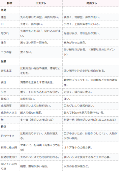 口太グレと尾長グレの生態、特徴紹介。釣太郎
