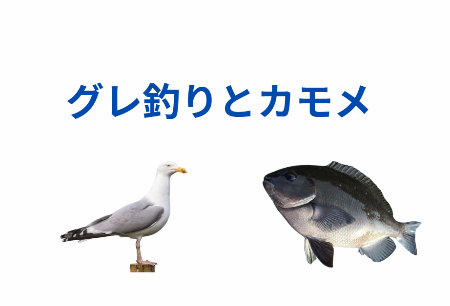 グレのふかせ釣り、マキエサとカモメの関係説明。釣太郎