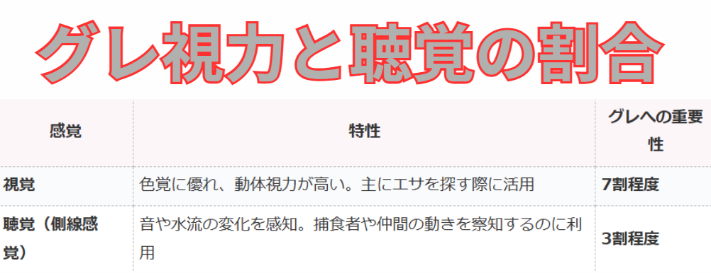 グレ（メジナ）の視覚優位でエサを探す。フカセ釣り入門。釣太郎