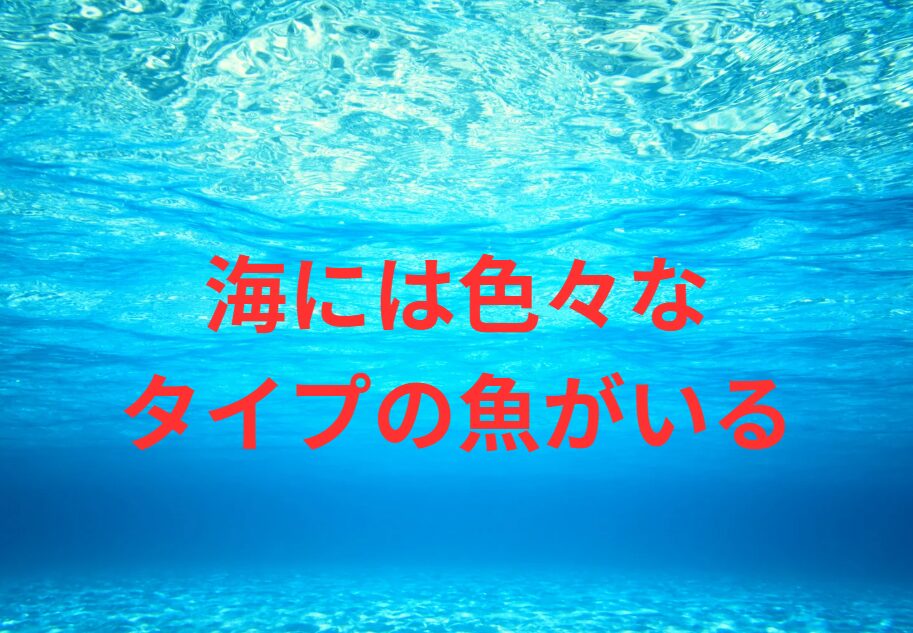 海には磯魚、回遊魚、他にどんなグループがある？釣太郎