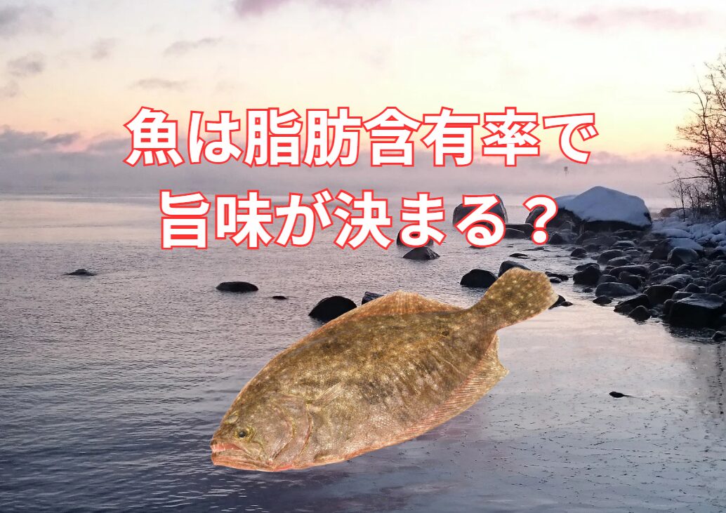 魚は冬季に脂がのるが、脂肪含有率で旨味が決まる？釣太郎