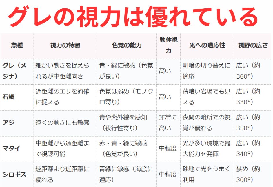 グレ（メジナ）の視力は優れている。他の魚との比較検証。釣太郎
