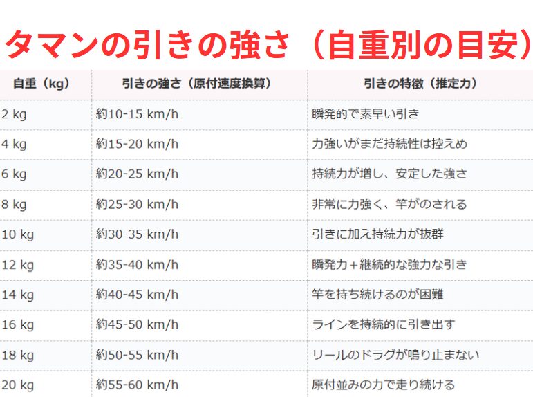 タマン（タマミ、ハマフエフキ）の引きの強さ（自重別一覧表）夜釣り入門。釣太郎