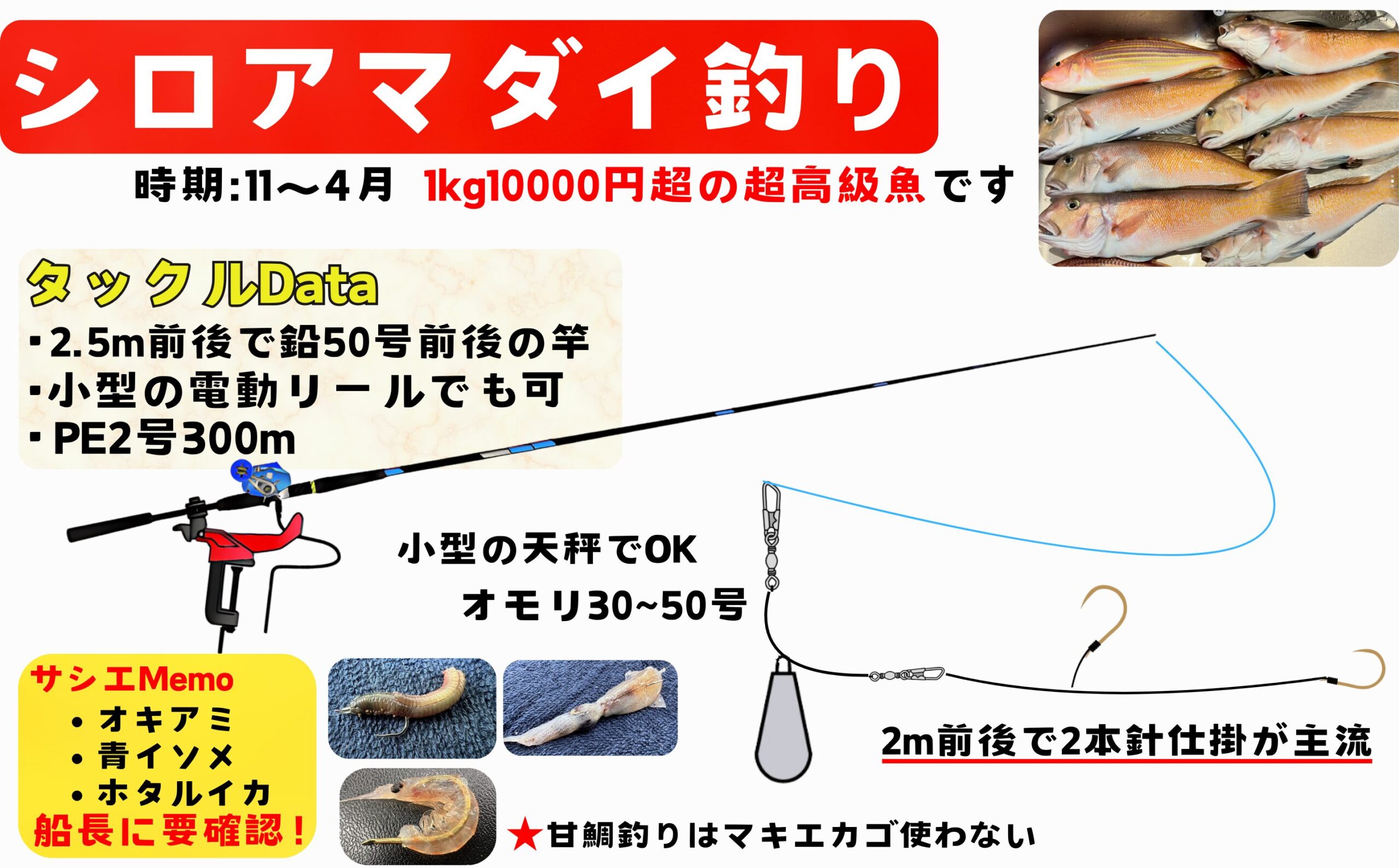 シロアマダイ　白アマダイ　白甘鯛　仕掛け　タックル　竿リールライン　天秤フカセ　和歌山　釣り　釣太郎