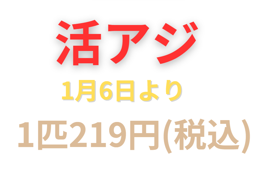 活アジ明後日6日より、1匹219円(税込)になります。釣太郎