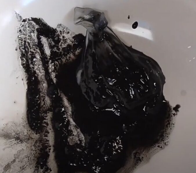 イカ墨はモンゴウイカが定番だが、アオリイカの方が色も味も濃厚。釣太郎