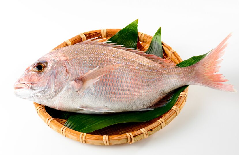真鯛は祝い魚の筆頭とされ、特に正月の祝い膳やお節料理において多くの地域で用意されます。釣太郎