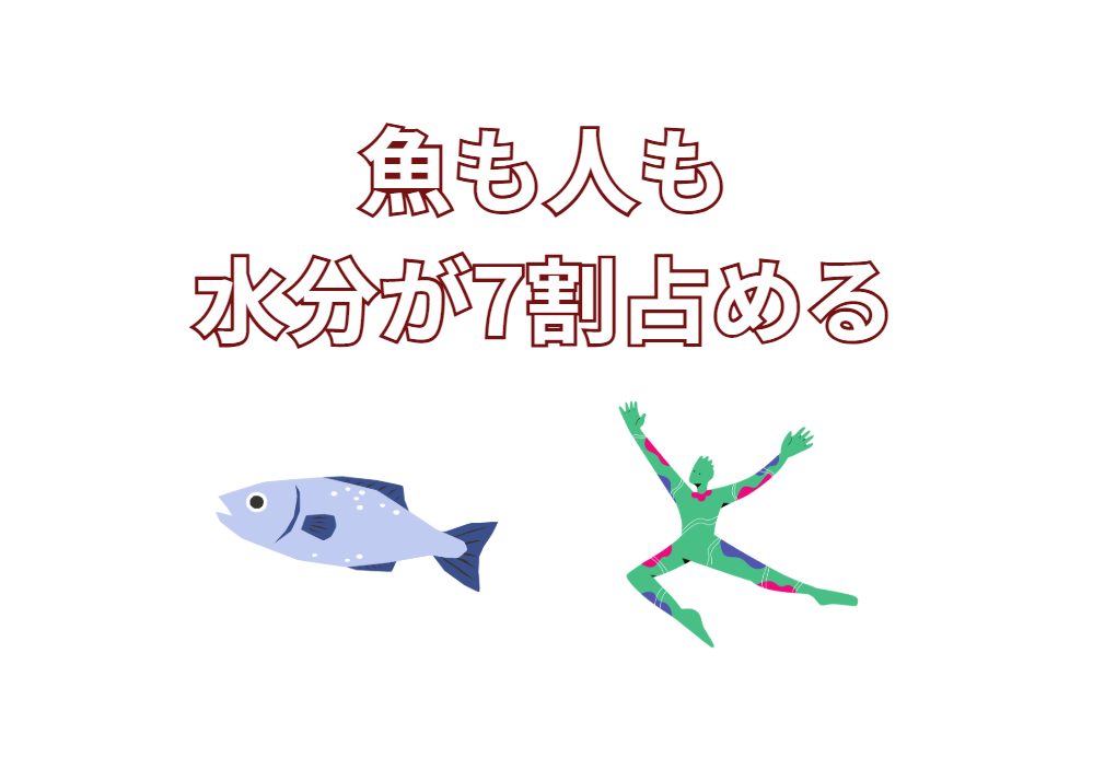 魚も人間も体の約70％が水分で構成されている。釣太郎