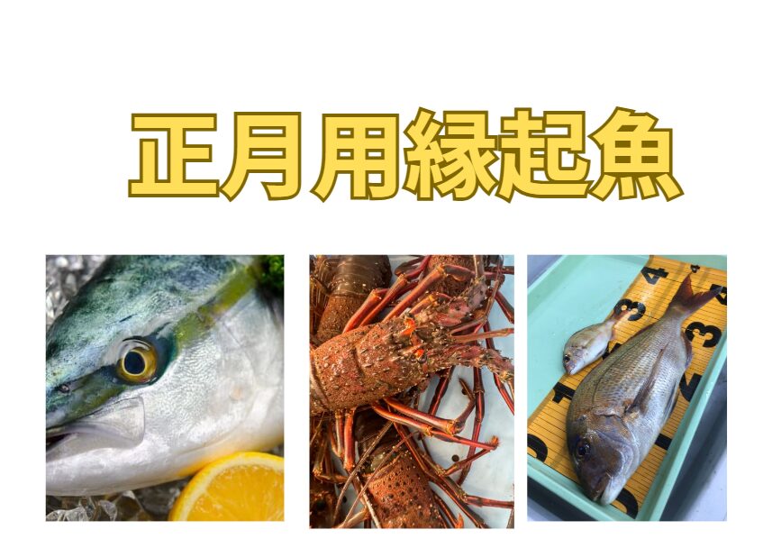 正月に用いられる縁起魚、ブリ、真鯛、伊勢海老の起源説明。釣太郎