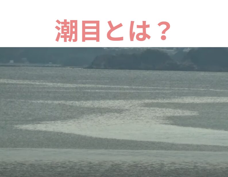 潮目（しおめ）とは、簡単に言うと、海面に見られる海水の境目のことです。フカセ釣り入門。釣太郎