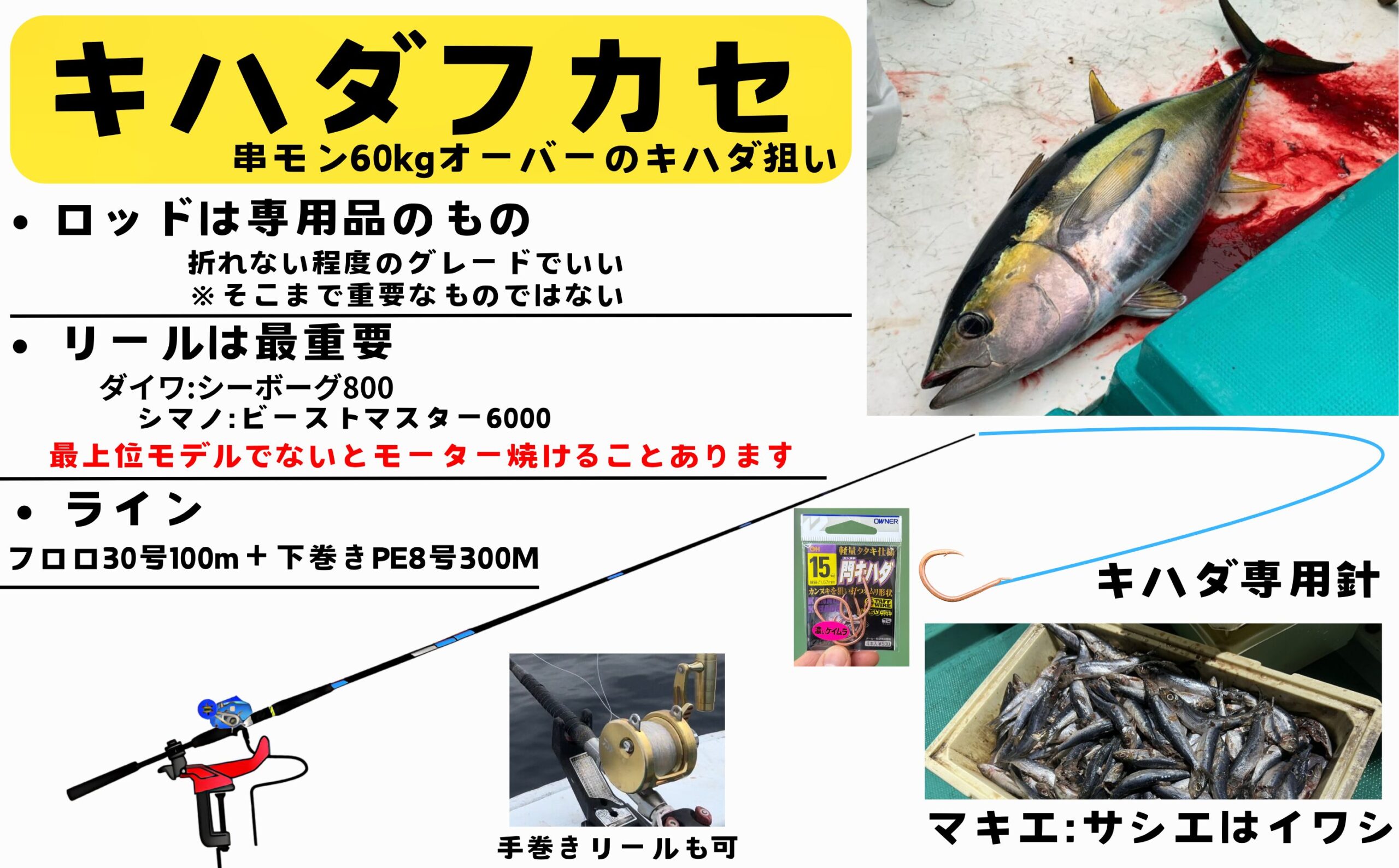 ロマン溢れる！串本でのキハダマグロ狙い完全フカセ釣り 人生で一度は