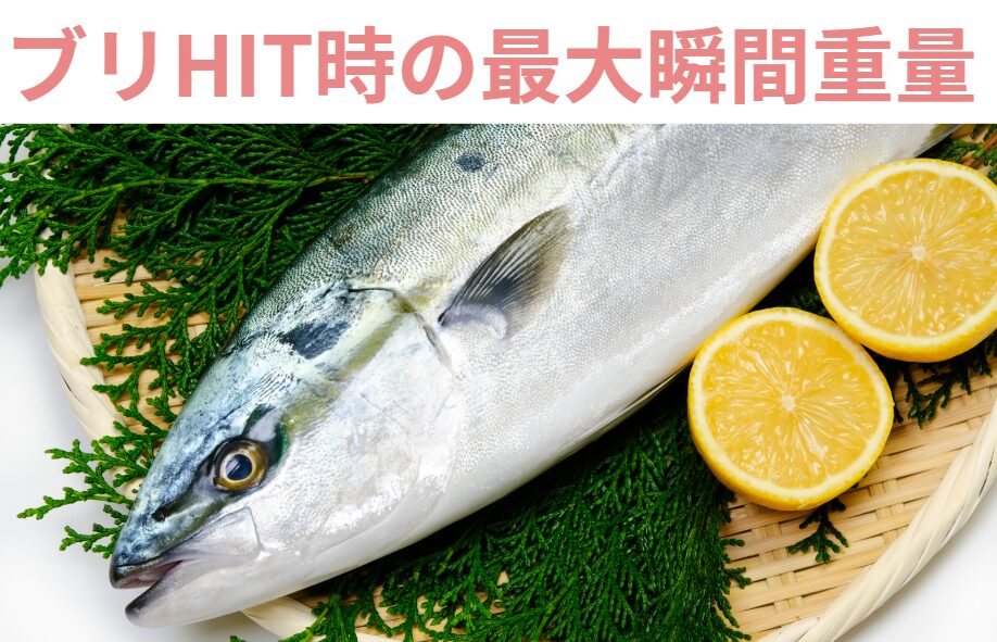 ルアーマンに人気のブリ。1キロ単位で最大瞬間重量（ヒット時マックスの引きの強さ）を一覧表。釣太郎