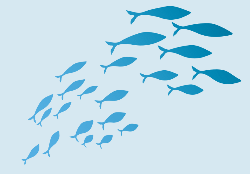 海の魚は、将来的に食べれなくなる可能性がある?釣太郎