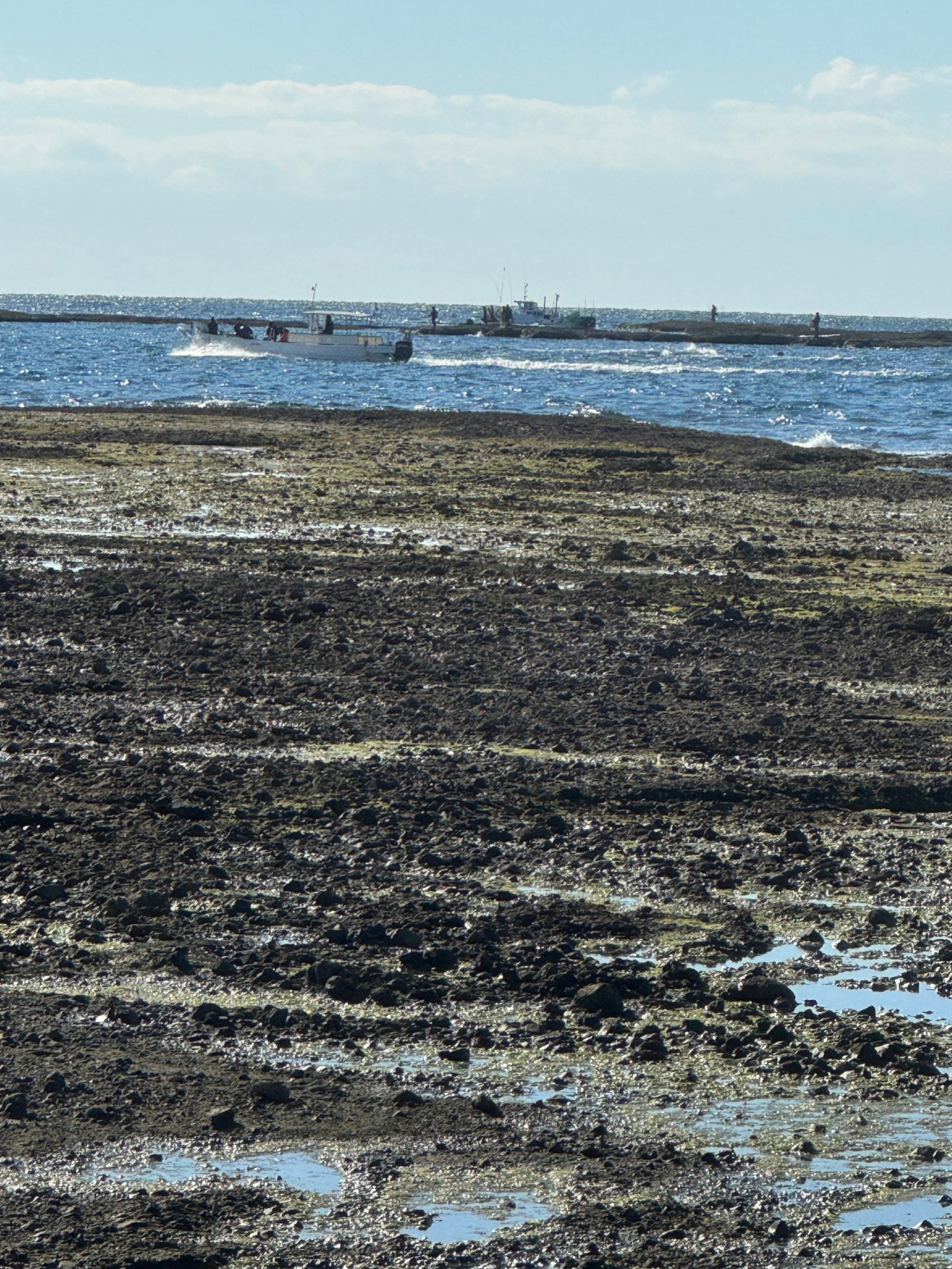 地磯と沖磯の違いをわかりやすく解説！初心者でも安心の釣りポイント選び。釣太郎