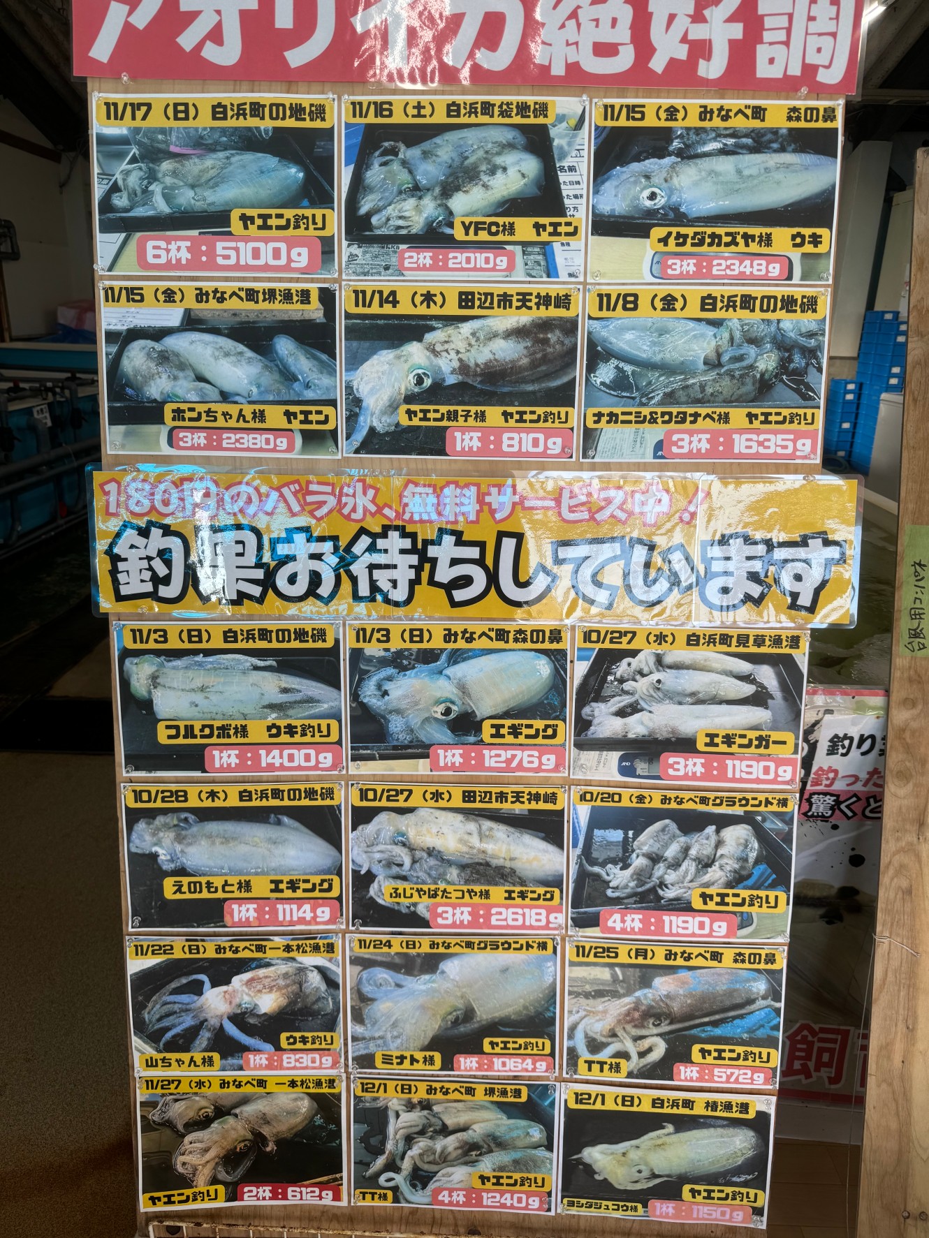 アオリイカ釣果ボードいっぱいになったので、あと1枚追加します。お気軽に持込下さい。釣太郎