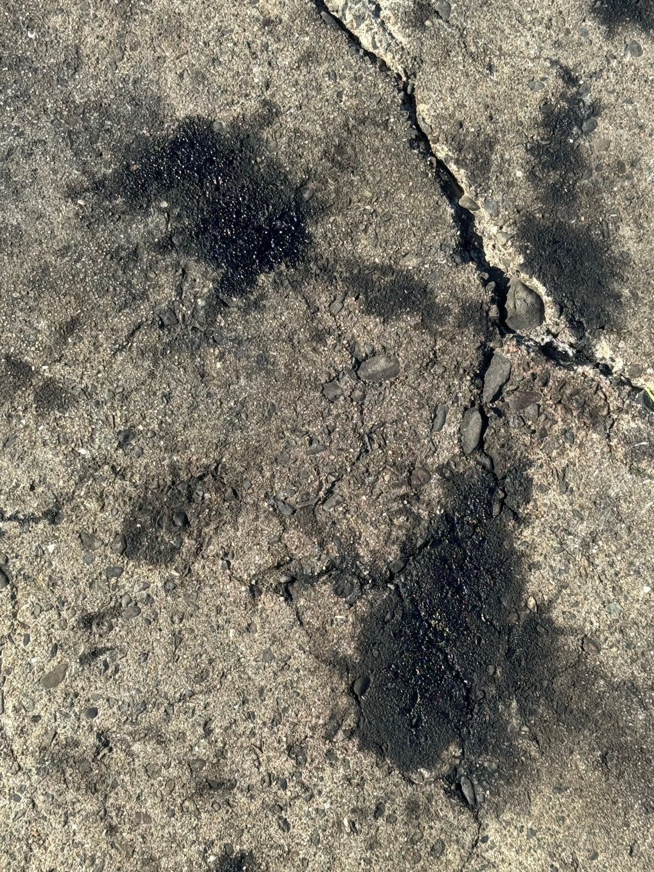 堤防でのアオリイカ釣りでは、墨跡(墨吐きの跡)が釣果の有無を判断する一つの目安になります。釣太郎