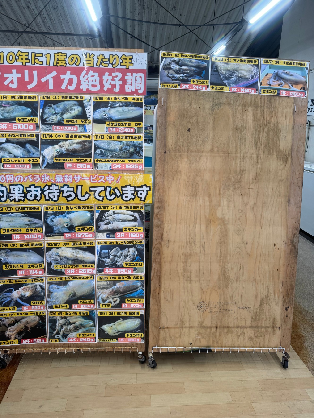 アオリイカ釣果ボード2枚目に入っています。大小関係なく、気軽にお持ち込みください。釣太郎