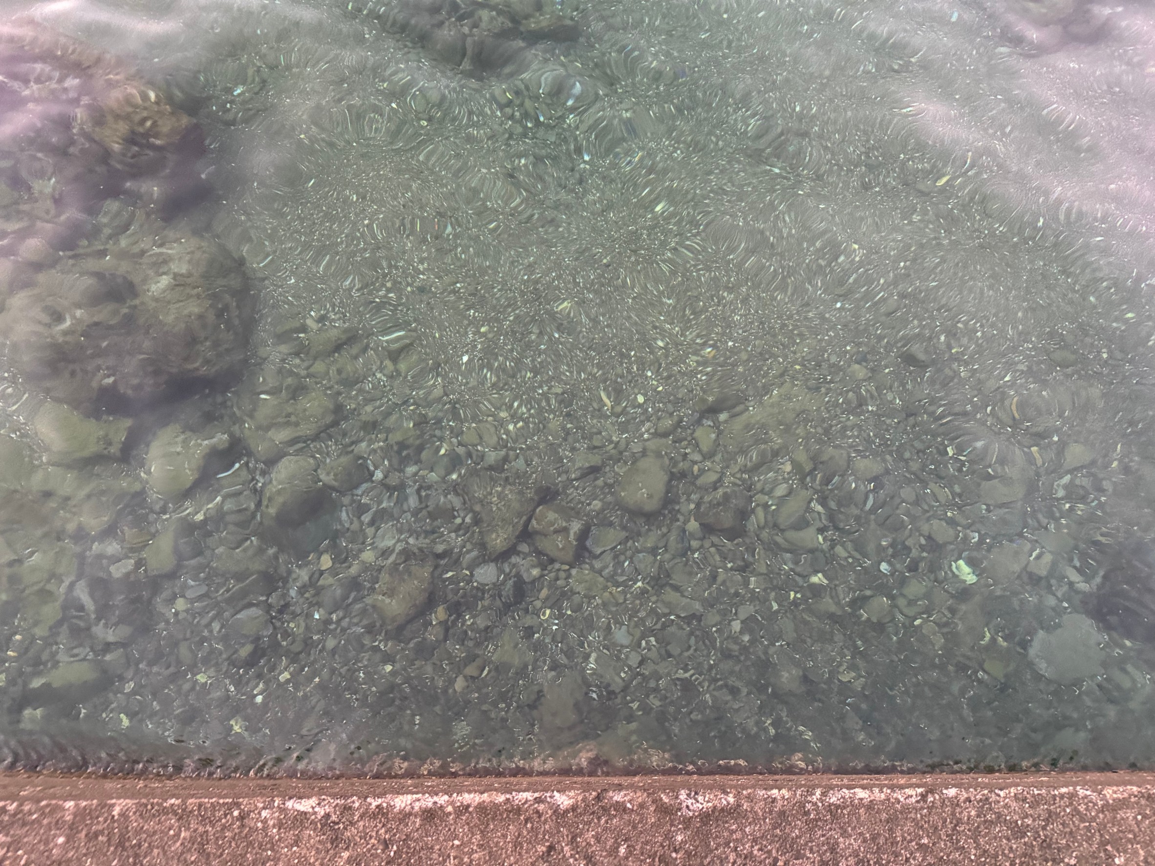 アオリイカは透明度が高い方があたりが多い。浅瀬にも獲物を求めてい来ることが多いので、攻める価値大。釣太郎