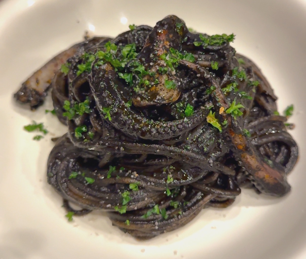 イカ墨パスタ アオリイカ