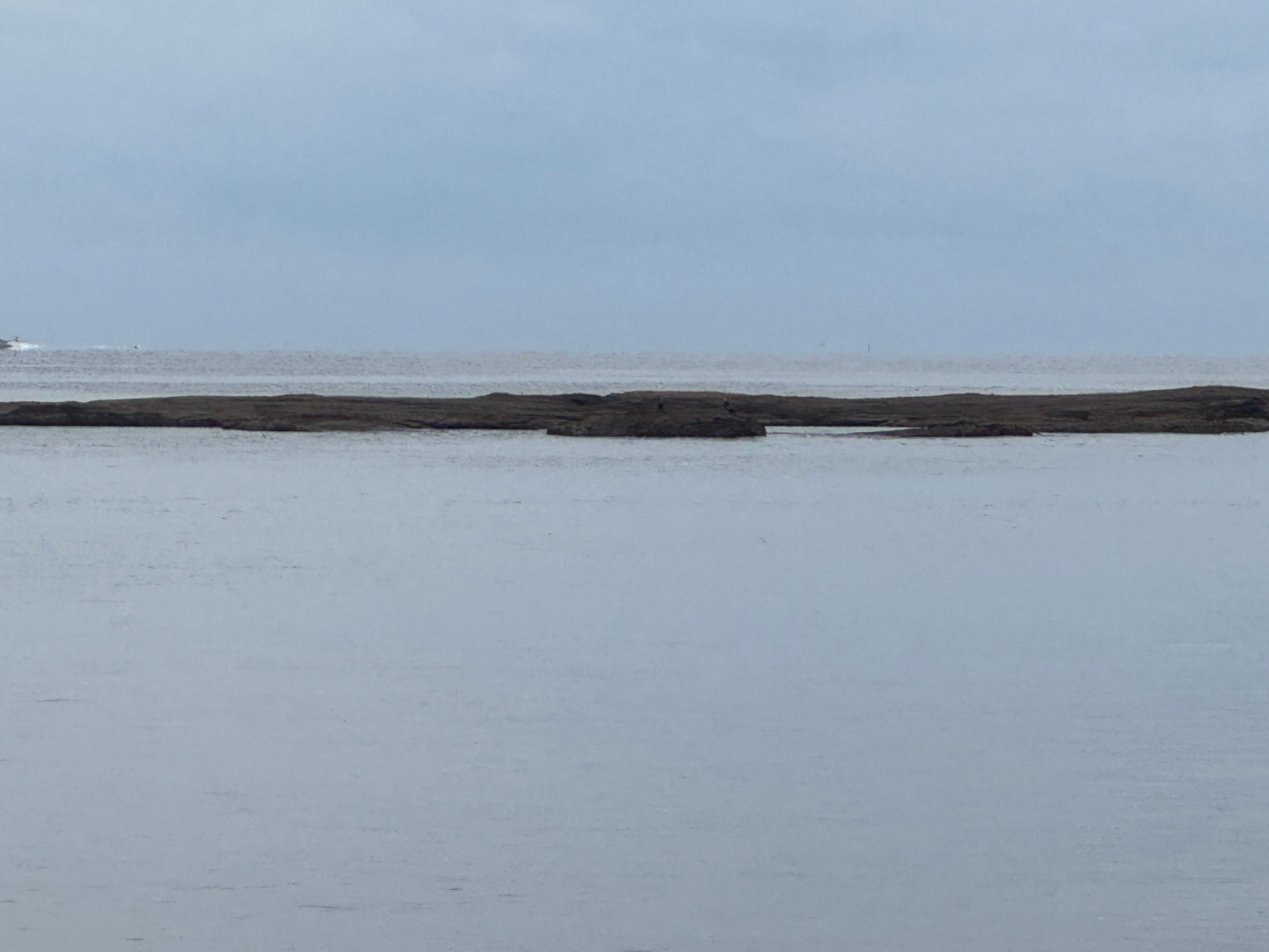 磯はどうやってできる？　海釣り基礎知識。釣太郎