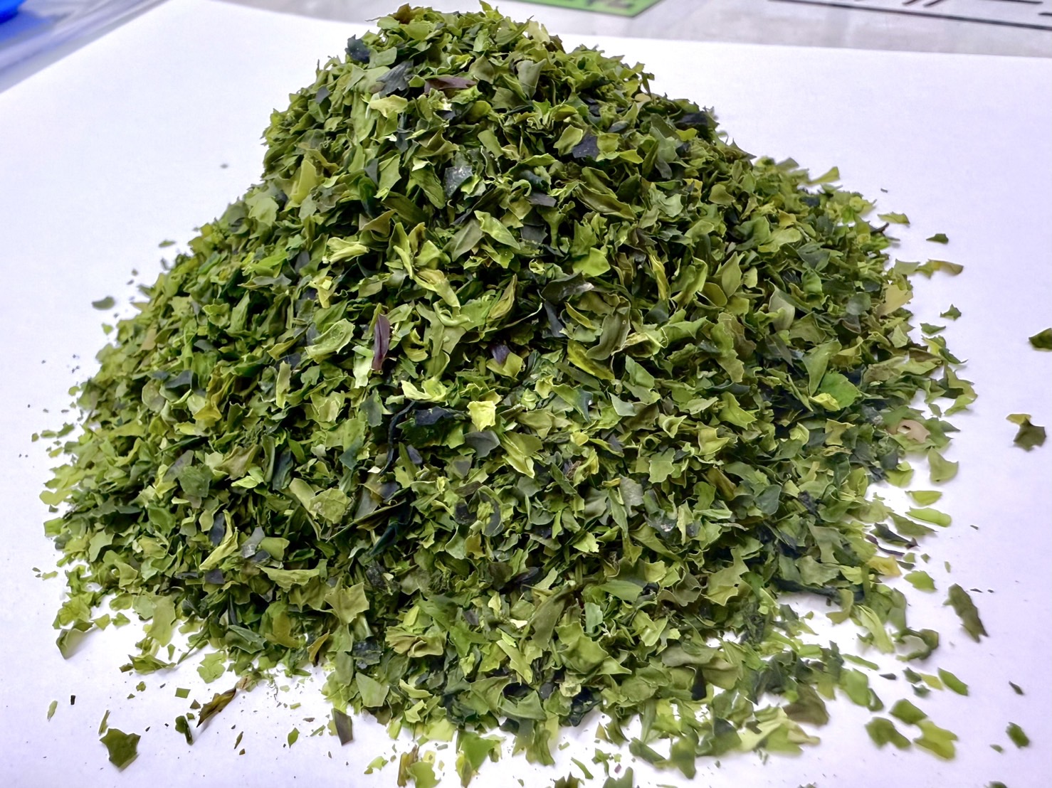 青物粉末、沖アミのマキエサに混ぜたり、集魚剤に追加してください。寒グレ（メジナ）釣りエサ紹介。釣太郎